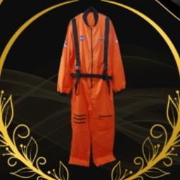 Baju astronot - Profesi