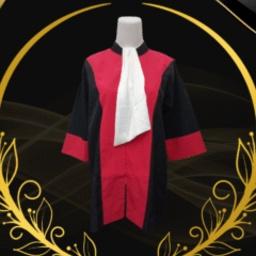 Baju hakim - Profesi