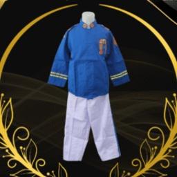 Baju akmil - Profesi