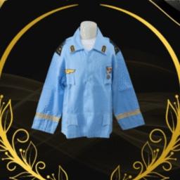 Baju TNI AU - Profesi